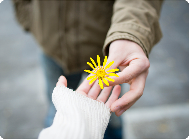 コレクションの価値